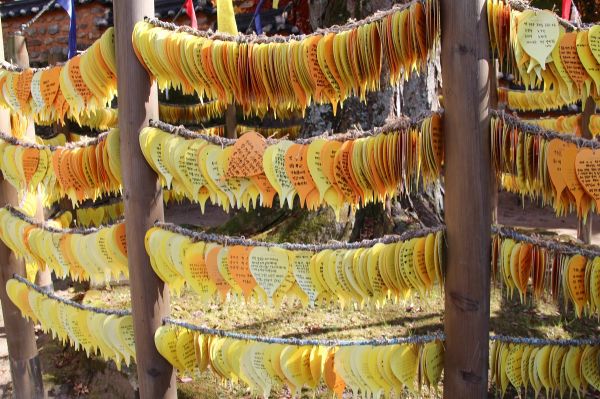 plantaciones en corea sur