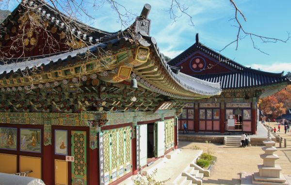 plantaciones en corea sur