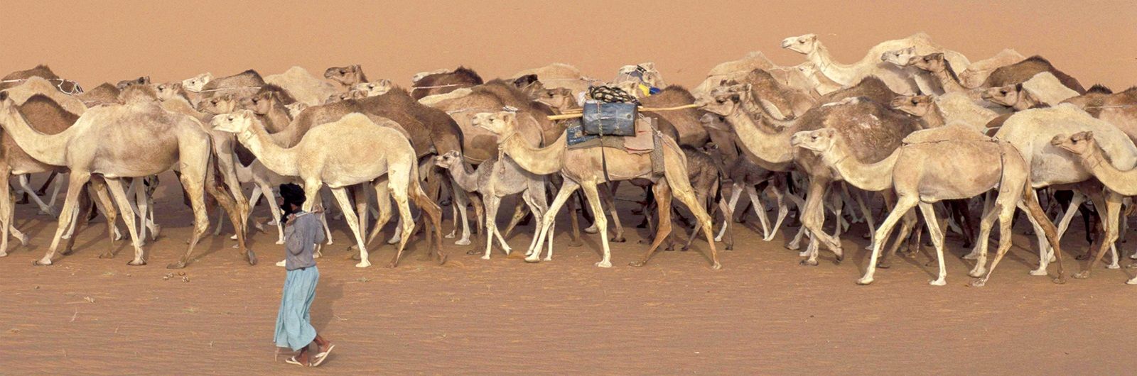 Mauritania