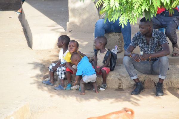 uganda gorila