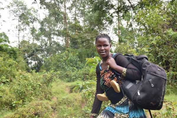 uganda gorila