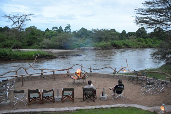 uganda gorila