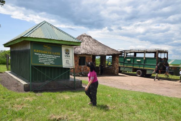 uganda gorila