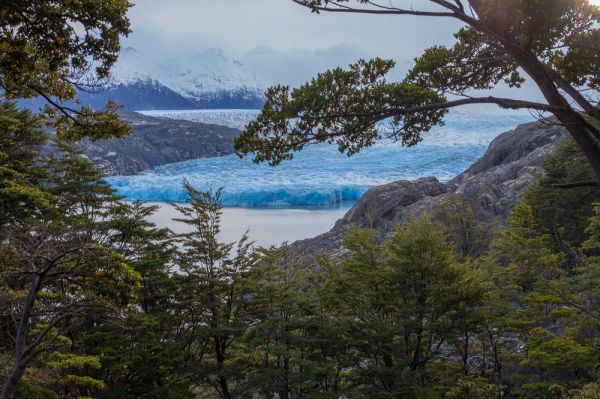 Trekking Parque Nacional Torres del Paine