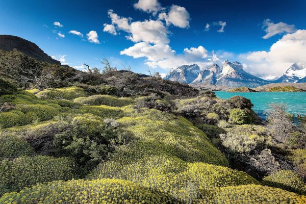 Trekking Parque Nacional Torres del Paine