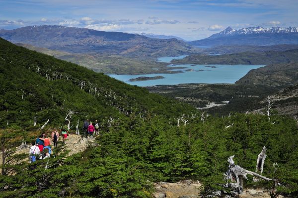 Trekking Parque Nacional Torres del Paine