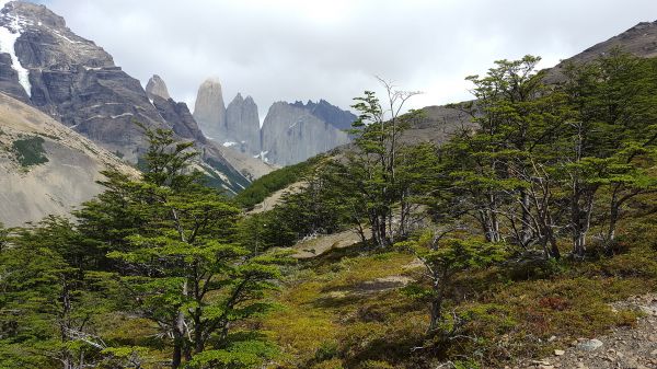 Trekking Parque Nacional Torres del Paine