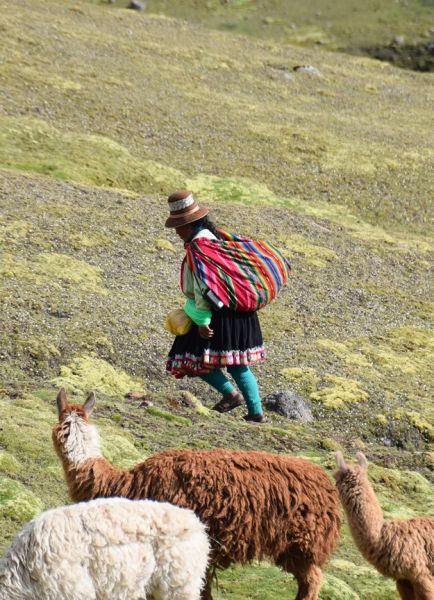 peru cuzco cusipata