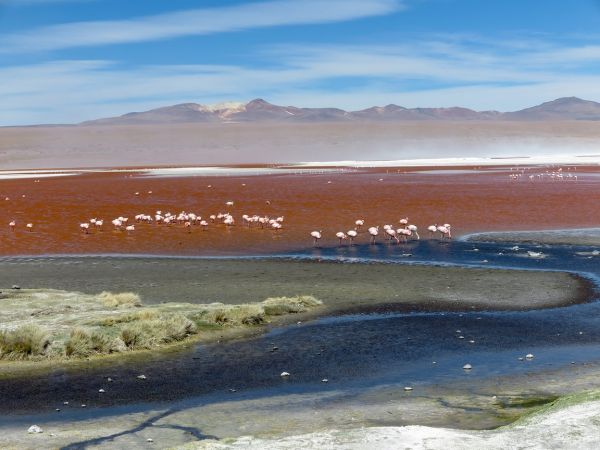 Bolivia. Quechuas, Aymaras y Misiones Jesuticas