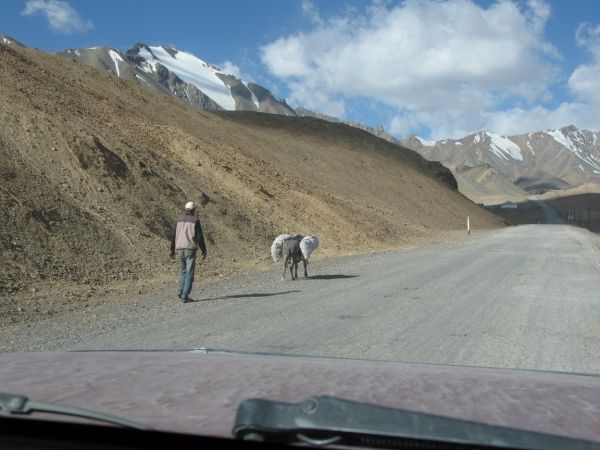 khorog