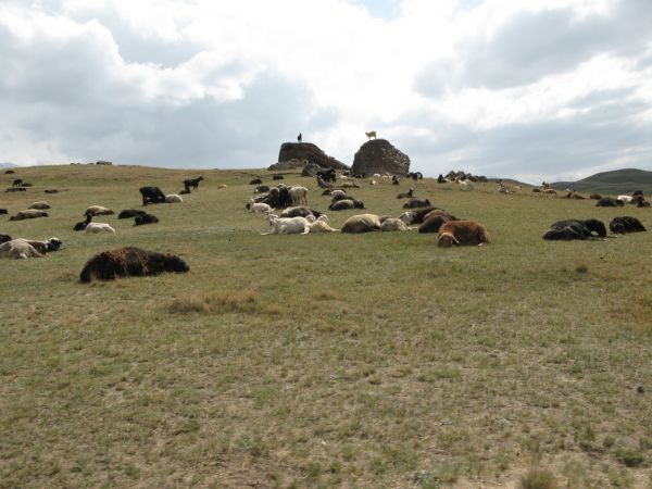 khorog