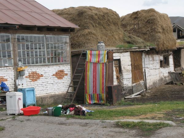 khorog