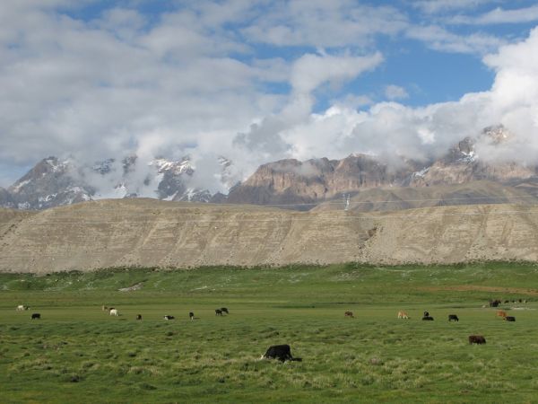 khorog