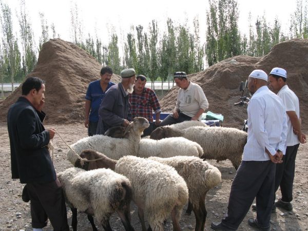 khorog