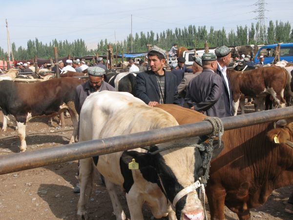 khorog