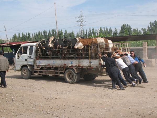 khorog