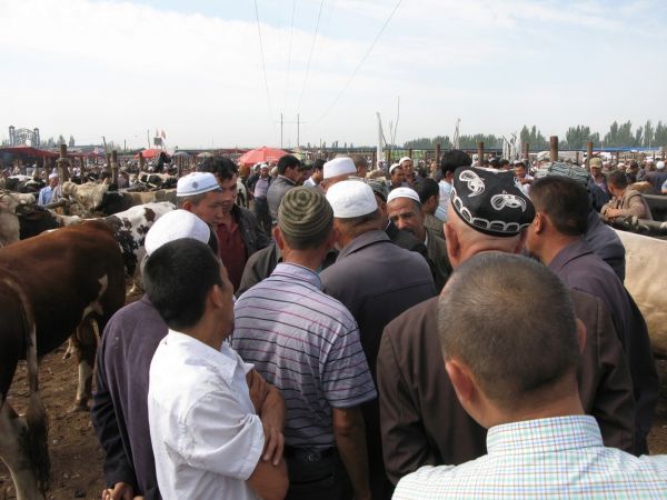 khorog