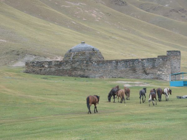 khorog