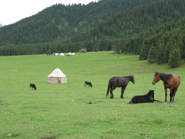 khorog