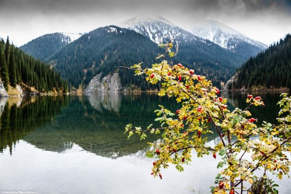 Kazajistn. Patrimonio y naturaleza
