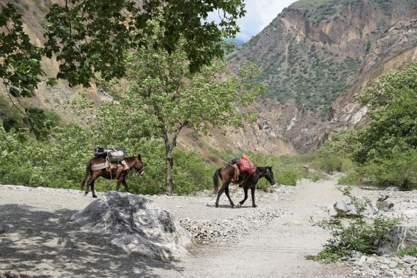 Trekking Camino Inca a Choquequirao