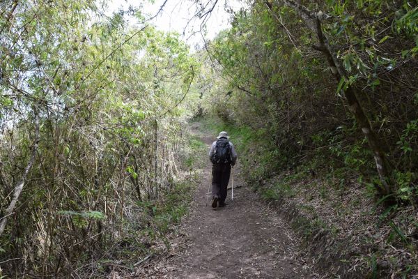 Trekking Camino Inca a Choquequirao