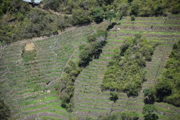 Trekking Camino Inca a Choquequirao