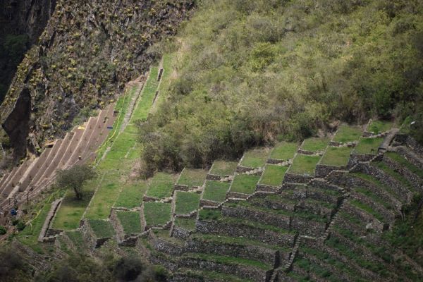Trekking Camino Inca a Choquequirao