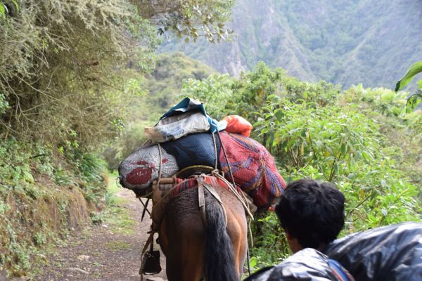 Trekking Camino Inca a Choquequirao