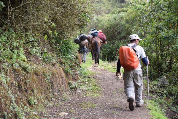 Trekking Camino Inca a Choquequirao