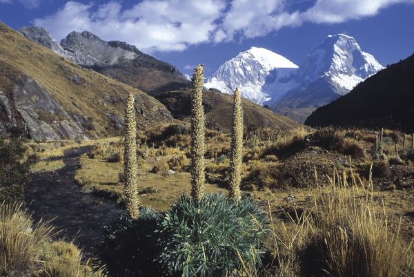 peru lago titikaka