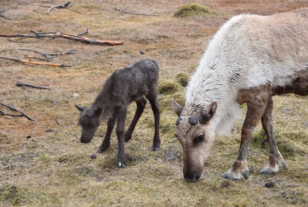 Alaska y Yukn. La ltima frontera