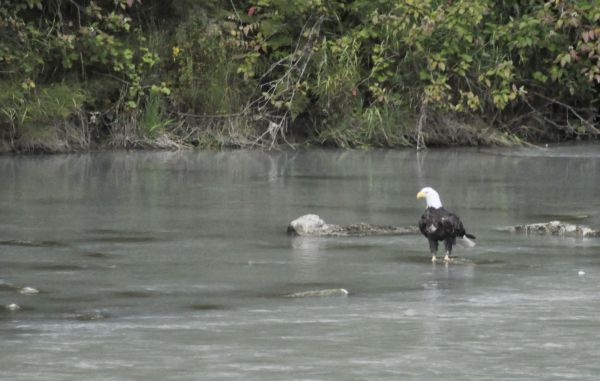 Alaska y Yukn. La ltima frontera
