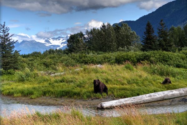 Alaska y Yukn. La ltima frontera