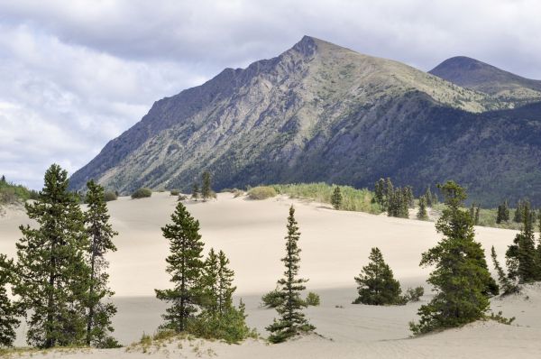 Alaska y Yukn. La ltima frontera