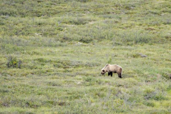 Alaska y Yukn. La ltima frontera