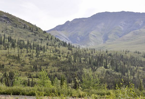Alaska y Yukn. La ltima frontera