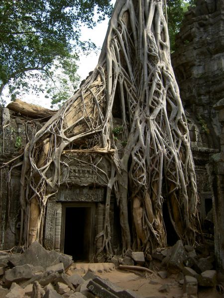 vietnam cueva