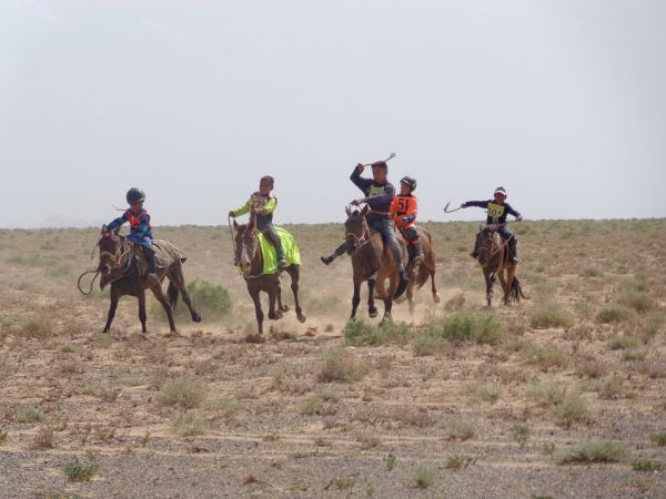 mongolia festival naadam
