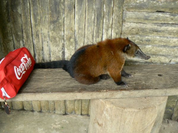 Ecuador, ciudad de Cuenca