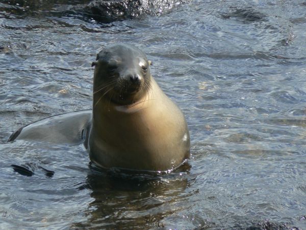 Ecuador, ciudad de Cuenca