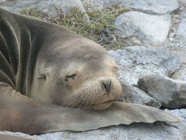 Ecuador, ciudad de Cuenca