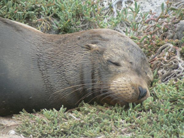 Ecuador, ciudad de Cuenca