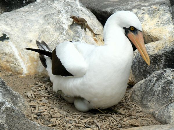 Ecuador, ciudad de Cuenca