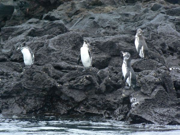 Ecuador, ciudad de Cuenca