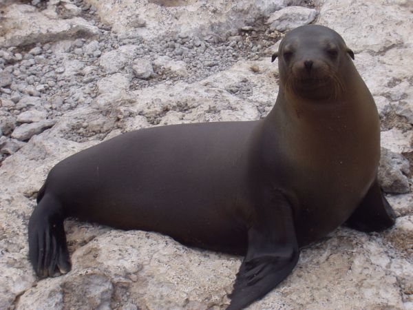 Ecuador, ciudad de Cuenca