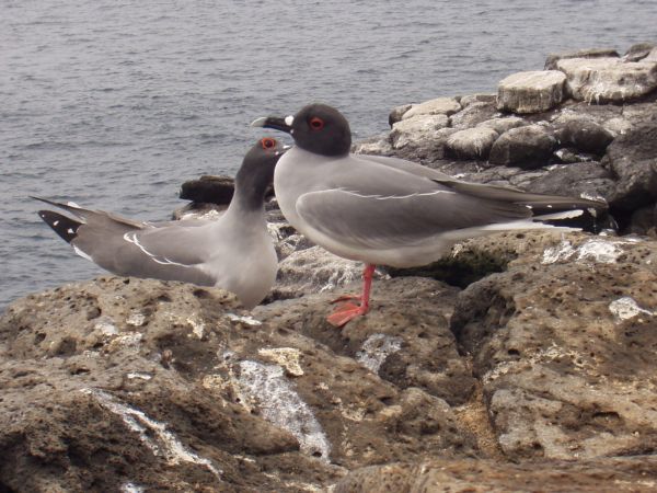 Ecuador, ciudad de Cuenca