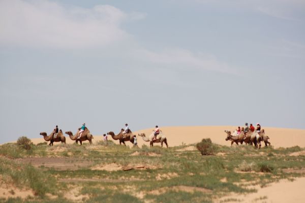 mongolia festival naadam