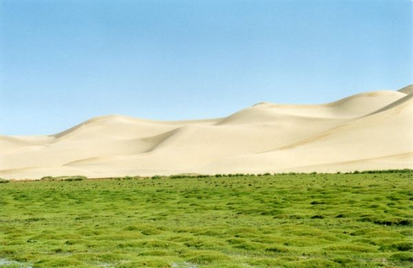 mongolia festival naadam