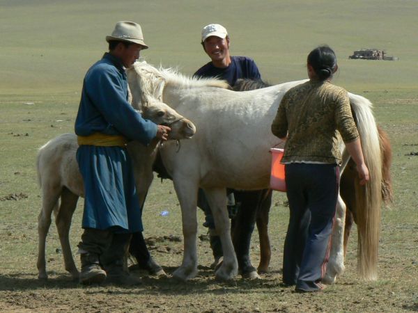 mongolia festival naadam